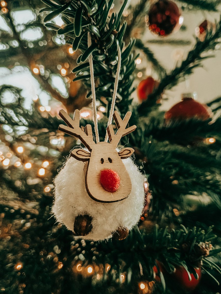 SethAbrikoos's tweet photo. 🗓️ 15/12/2024
📱 #Phonephotography #Motorala G54
🛒 #Coolblue 
🎨 Edited in the #Adobe #Lightroom mobile app
📍 #TheHague #DenHaag
.
.
.
#mobilephoto #christmas #phonephoto #christmastree #rotterdam #photography #photographer #smartphonephoto #fotograaf #fotografie #kerst 

🤘✌️ https://t.co/yggLCNpMac