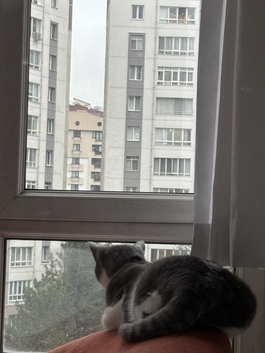 84/94
tedavimizin bitmesine çok az kaldı, defne'nin patisinden tutarak sağlığına kavuşması için dm'den ulaşabilirsiniz 💖🐾🐾