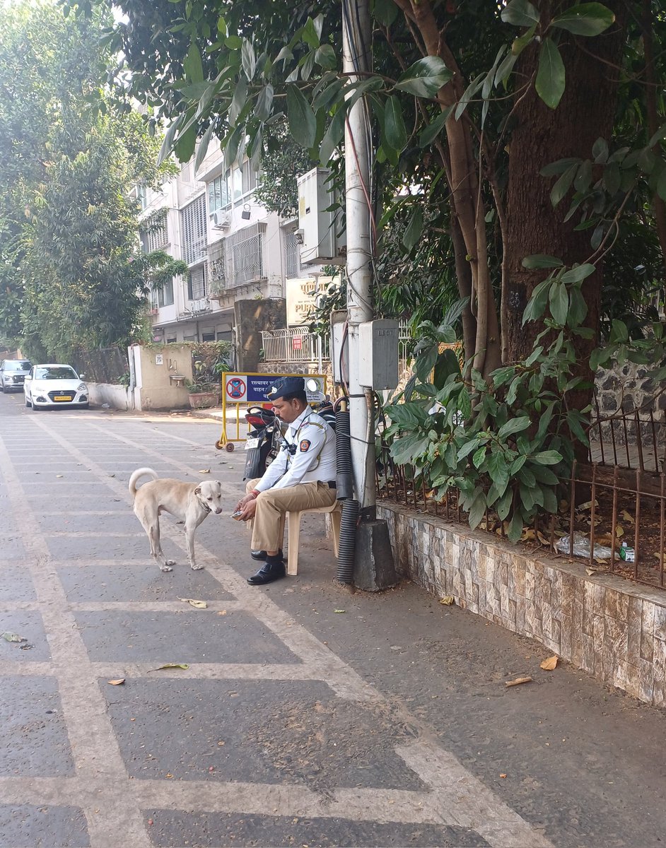 pincode400006's tweet photo. "The best way to find yourself is to lose yourself in the service of others."
~Mahatma Gandhi
Acts of random kindness, especially for those, who are homeless and defenselessโare what our world needs the most. May this tribe of carers multiply. #localscenes #roadsofmalabarhill https://t.co/Q4tFrdXTCK
