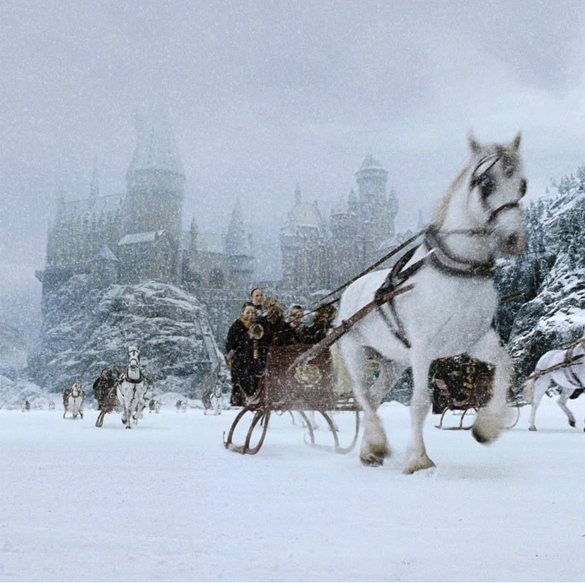 Como é lindo o Natal em Hogwarts