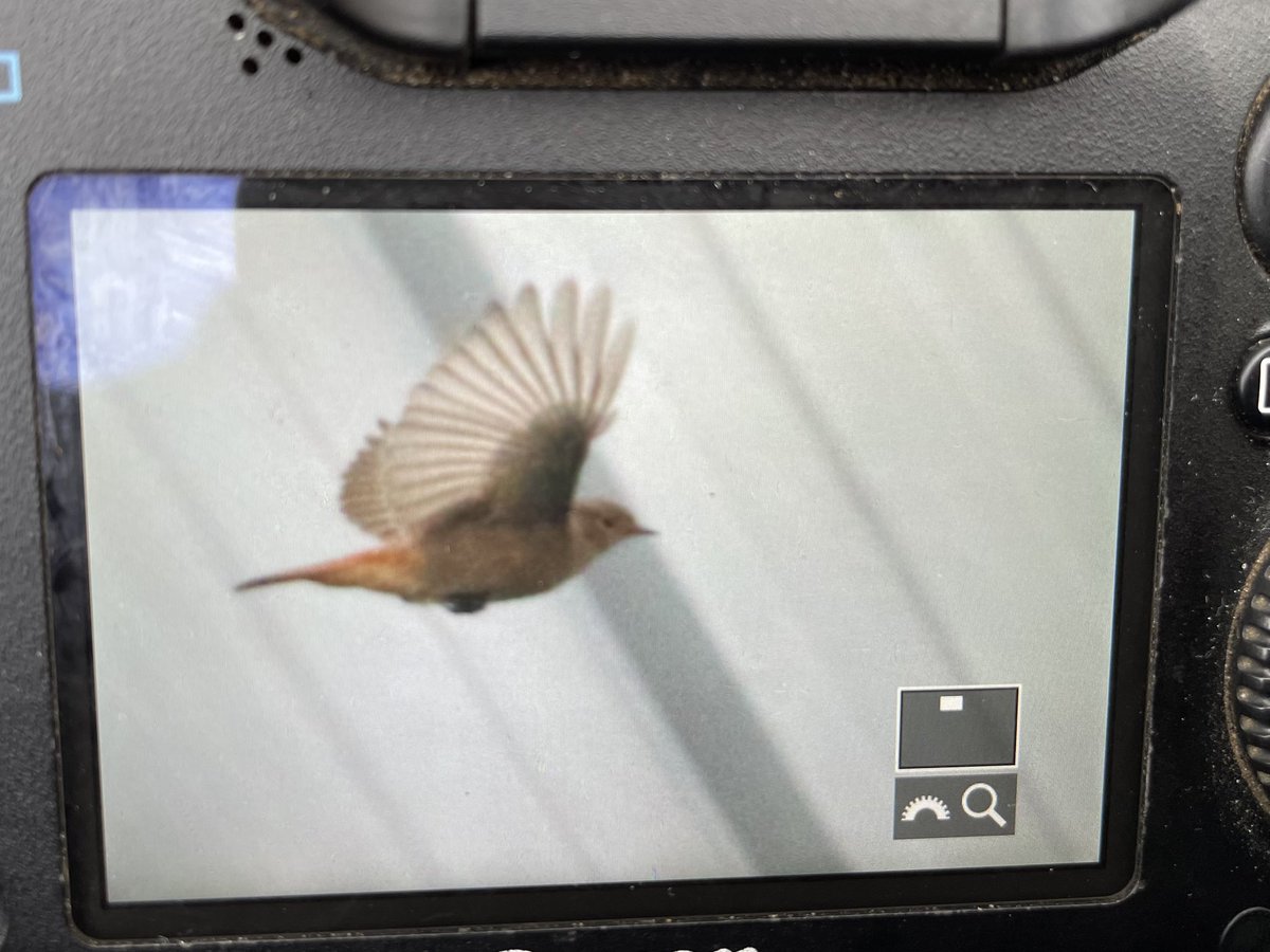 Greg Mabbett tweet media