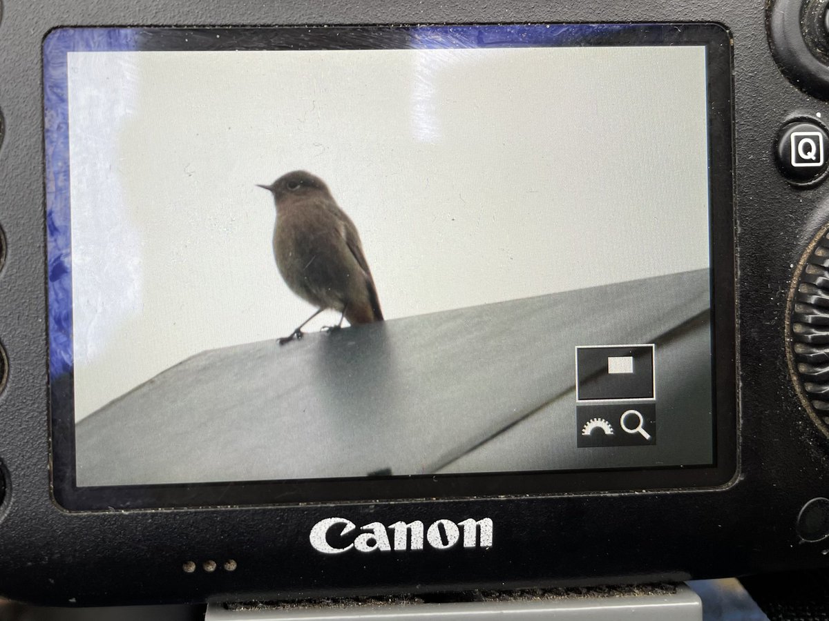 Greg Mabbett tweet media