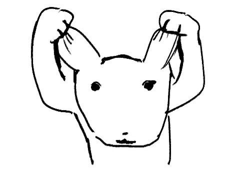 차카니 오백개 먹은 얼굴이 좋다고 말해