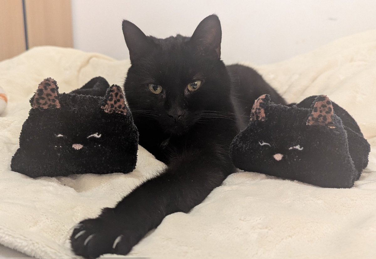 "Don't talk to me or my sons ever again"
