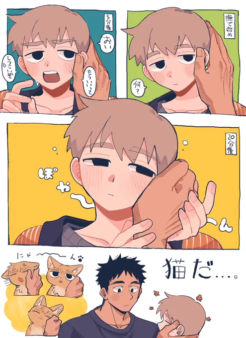 芹霊
れ〜れんの猫み 
