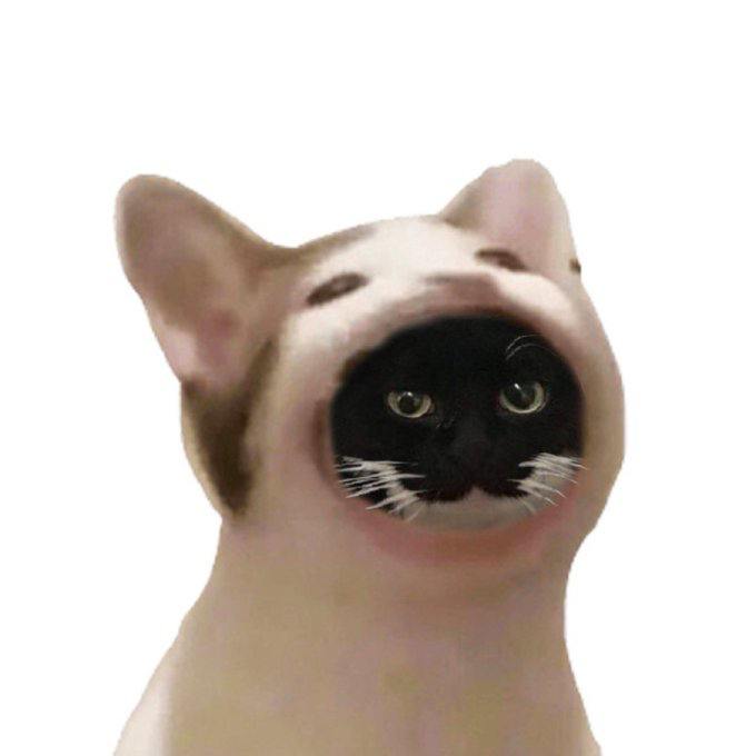 what if…
<a href="/POPCATSOLANA/">$POPCAT</a> 

$cat