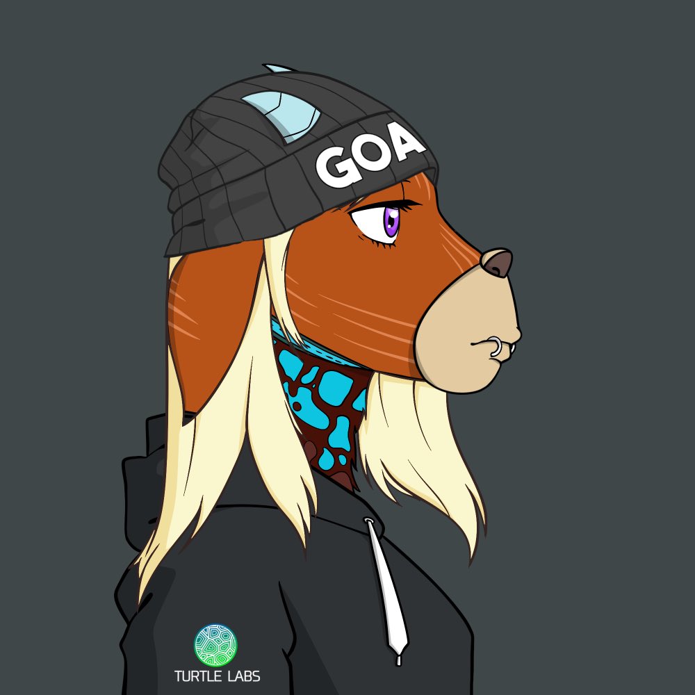 TurtleLabsV's tweet photo. 🐐🔥 GOAT SZN on Turtle Labs! 🔥🐐

4 days left to mint your Female Goatz on Turtle Labs.
Traits inspired by the best of the #NFT world 🌍 – projects still alive &amp; thriving. 💪

#VeChain just got a major upgrade!
Let’s GOAT! 🚀 

#NFTDrop #VeFam https://t.co/qnNOzZRMWN