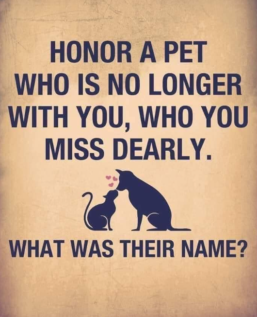 Dog Lovers tweet media