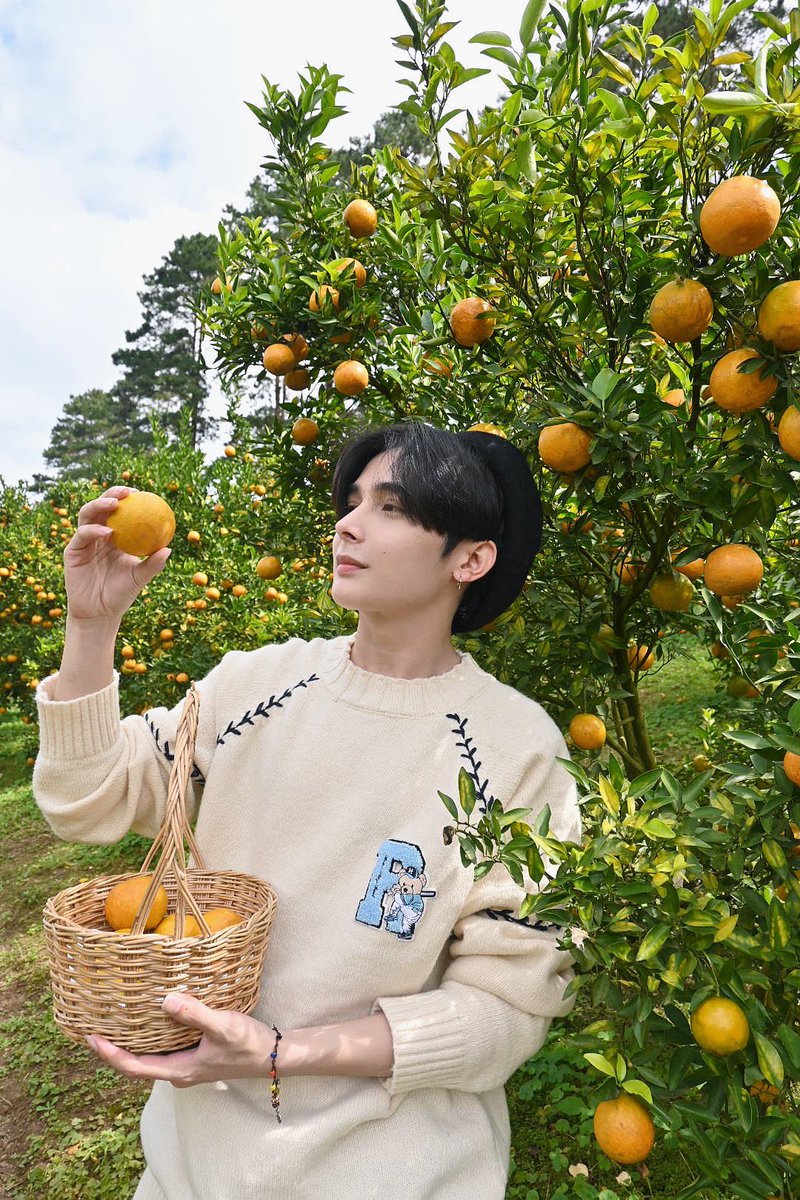 burapa_golf's tweet photo. ไหนใครอยากกินส้ม 🍊🧡 https://t.co/P7rvWTcPtP