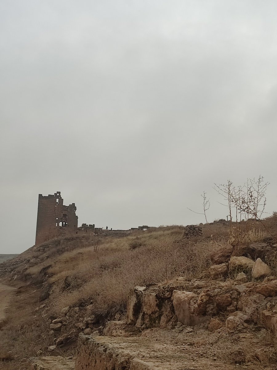 mahsumakbas's tweet image. The Mithraists are return back...
The Mysteries of Mithras will soon be unveiled.

#Zerzevan #ZerzevanKalesi #Mithras #Rome #History #Mystery #Gizem #Tarih #Mitras #Mitraslılar #Arkeoloji #Archeology