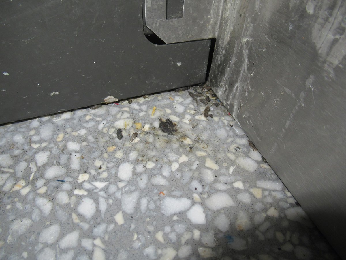 Aldi Stores Limited have been hit with a £64,000 fine after pleading guilty to a hygiene breach at the multinational's Leyton branch. This is the first time Aldi has ever been prosecuted for food safety offences in the UK.

Read more 👉 orlo.uk/5iTHo <a href="/khev_limbajee/">Khevyn Limbajee</a>