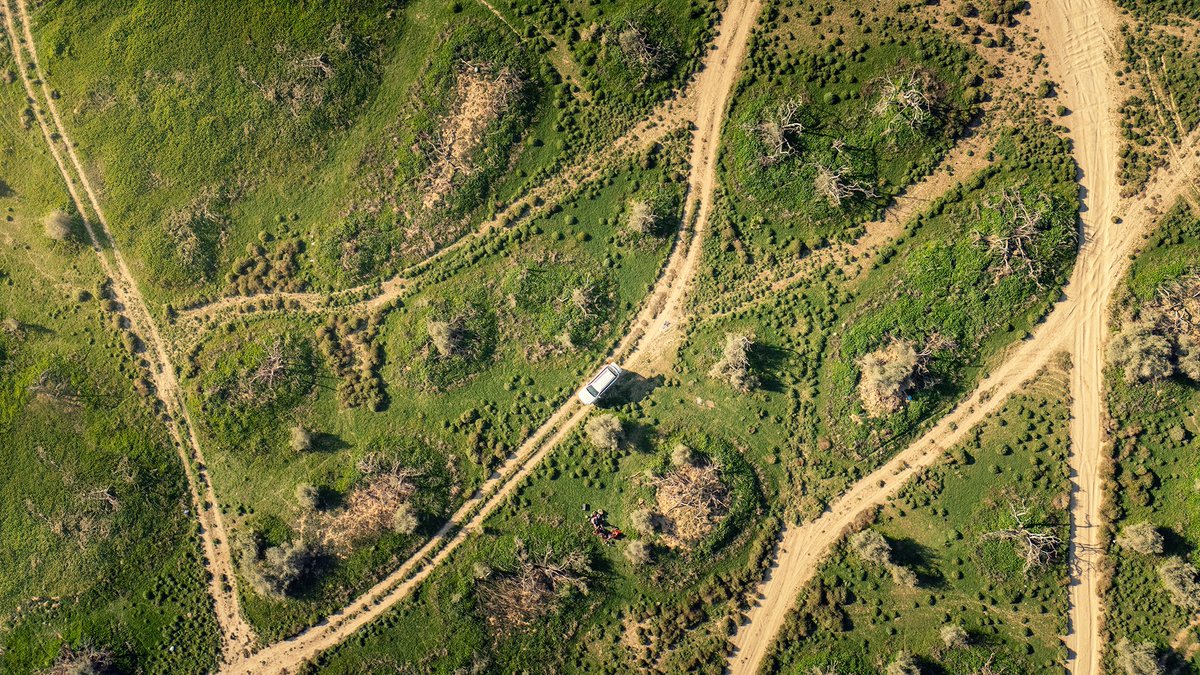 ناصر العثمان tweet media