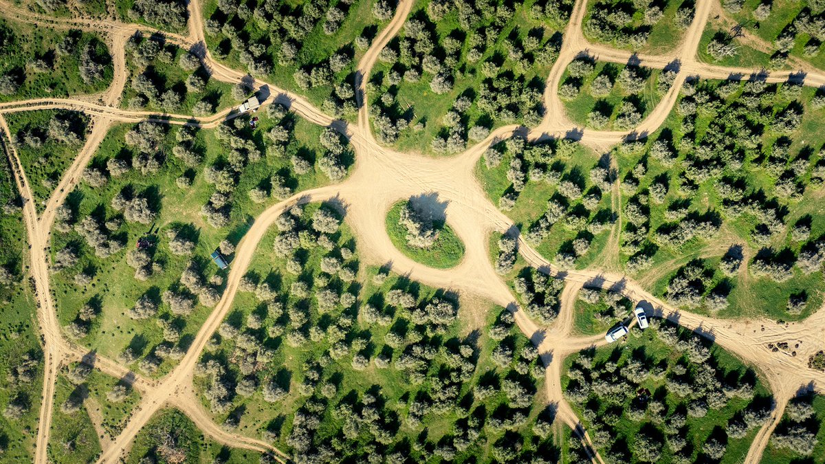 ناصر العثمان tweet media