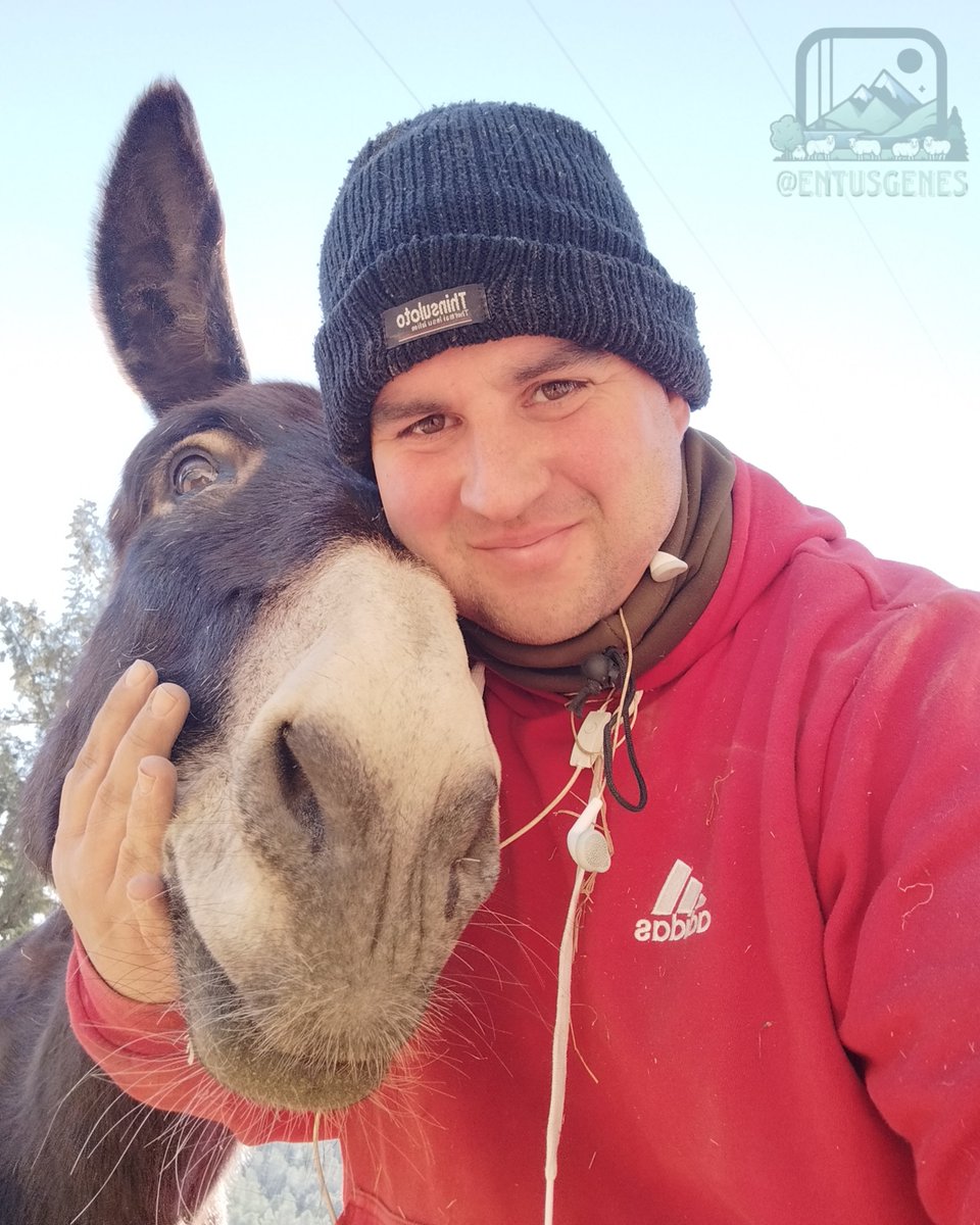📸 ¡Feliz 3° domingo de Adviento! 🧑🏻‍🌾🫏

📌 También denominado el domingo de la alegría. Os animo a mantener el corazón contento antes la llegada inminente de la navidad. 👼🏻🎄

📍#CortijoLaVidriera #CaravacaDeLaCruz #RegiónDeMurcia
