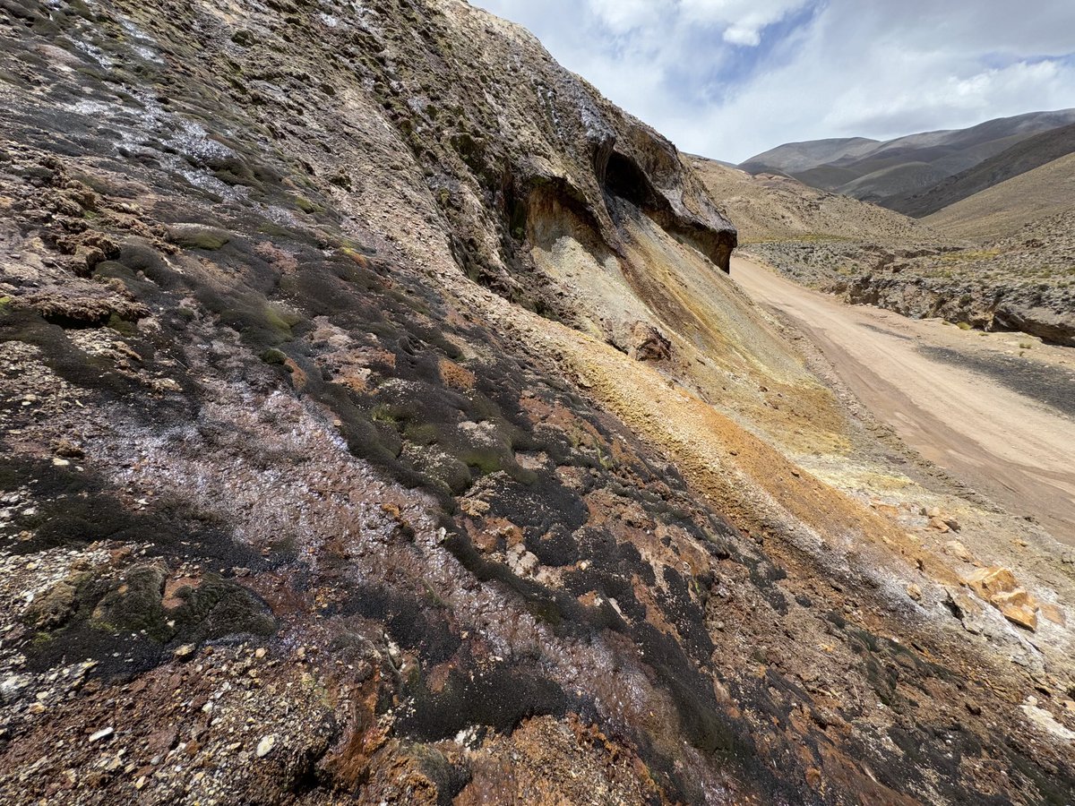CinTyLeeEarth's tweet photo. Iron oxyhydroxide biofilms forming large scale structures in the high Andes. Formed from spring waters that passed through sulfide rich shales.  Structures look similar to travertine deposits but this spring seems to be largely carbonate free. https://t.co/DkSVZTqGCc