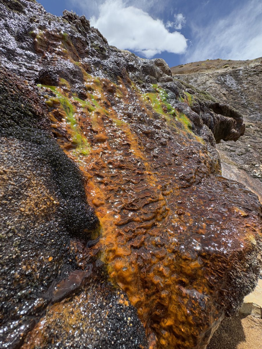 Iron oxyhydroxide biofilms forming large scale structures in the high Andes. Formed from spring waters that passed through sulfide rich shales.  Structures look similar to travertine deposits but this spring seems to be largely carbonate free.