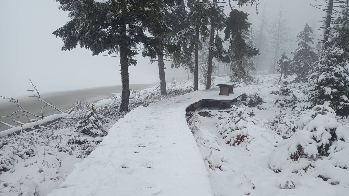 squirrelpics1's tweet photo. Schön war es heute am #Oderteich im #Harz ⛄ ❄️ ⛰️ https://t.co/kYab0pyvr4