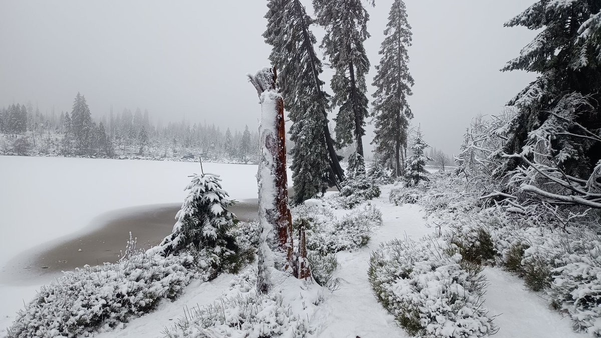 squirrelpics1's tweet photo. Schön war es heute am #Oderteich im #Harz ⛄ ❄️ ⛰️ https://t.co/kYab0pyvr4