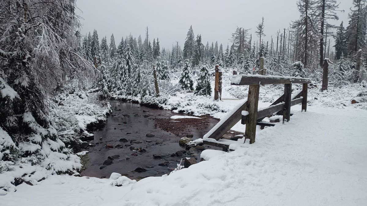 squirrelpics1's tweet photo. Schön war es heute am #Oderteich im #Harz ⛄ ❄️ ⛰️ https://t.co/kYab0pyvr4