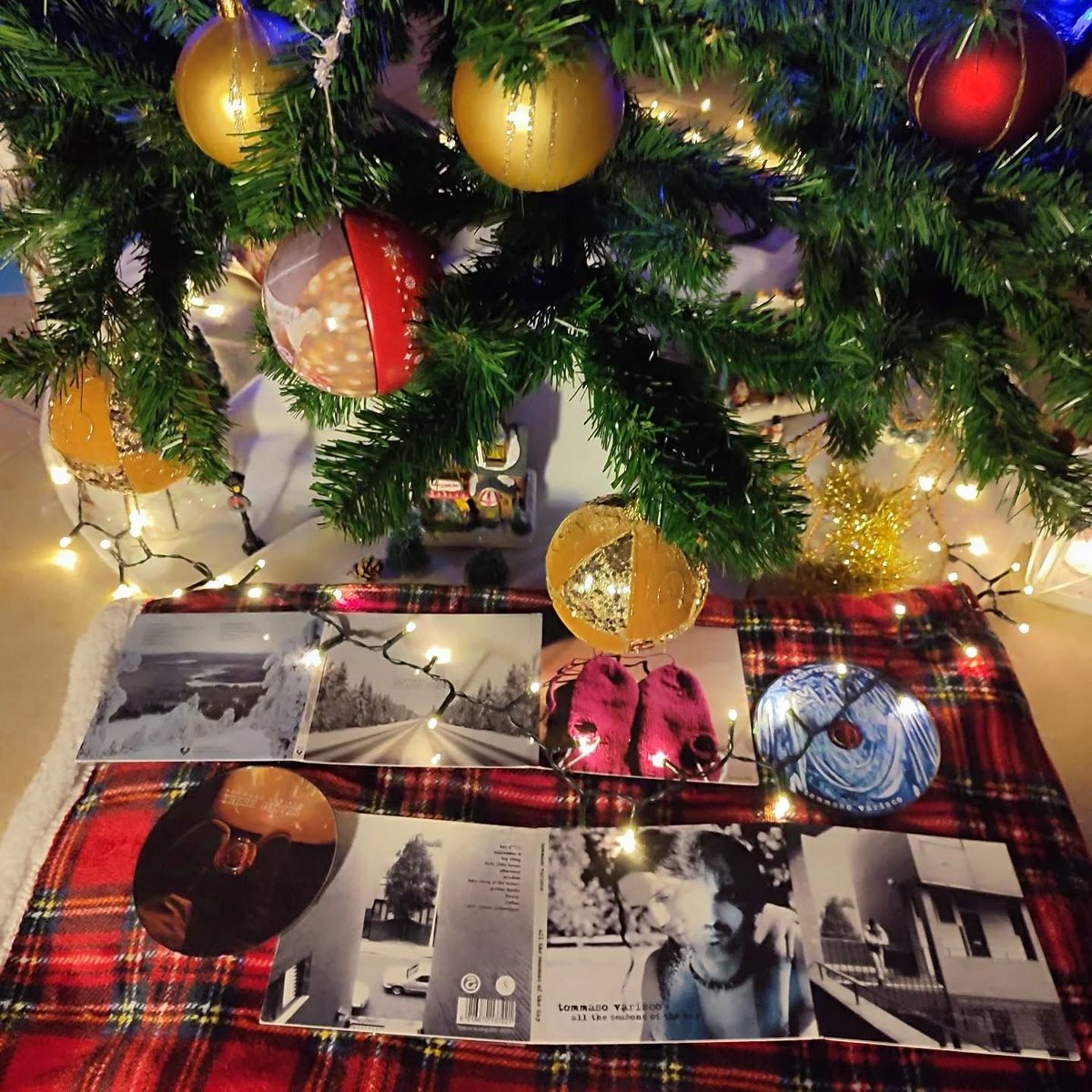 Tommaso Varisco tweet media