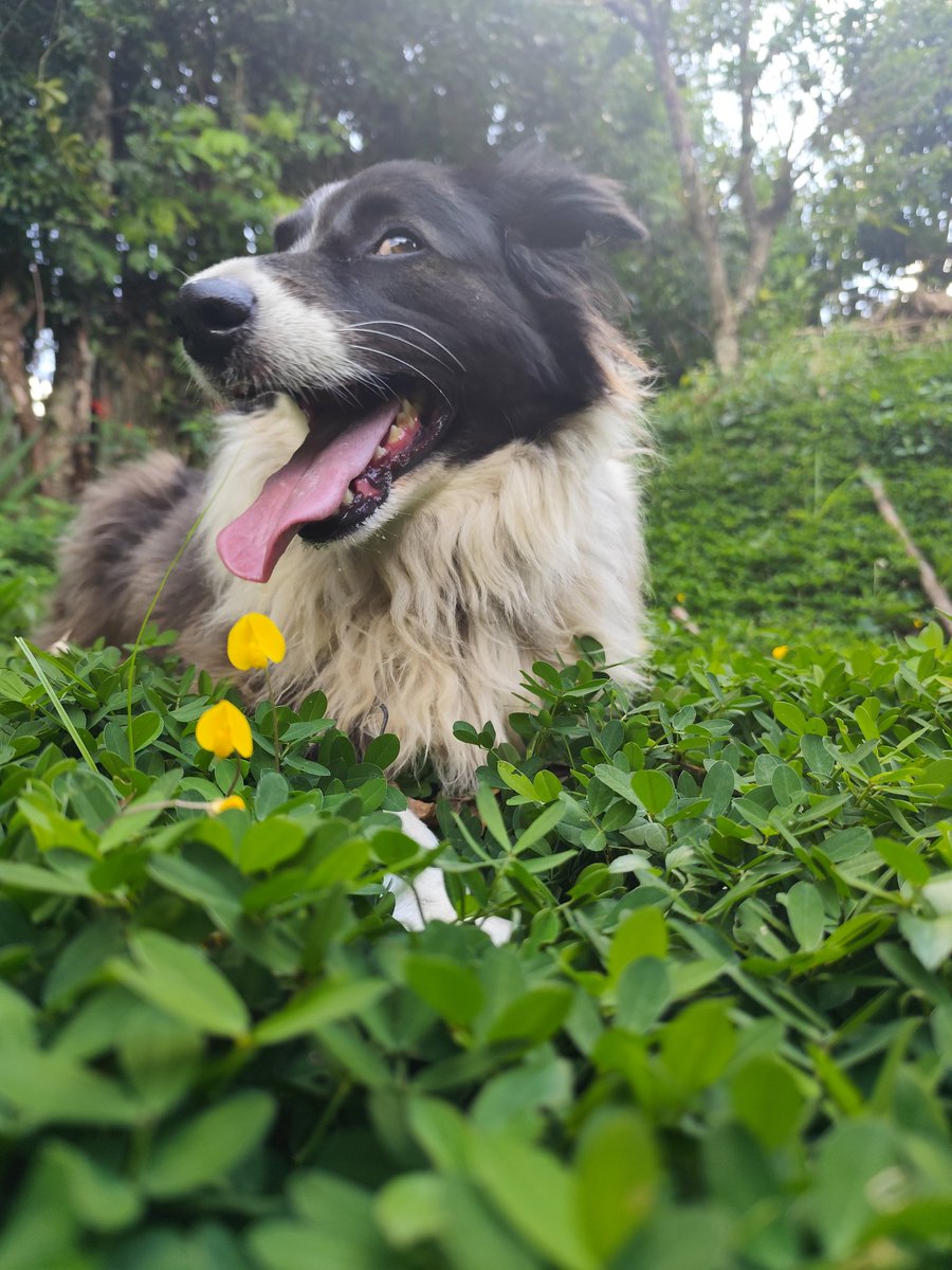 SilCastro_'s tweet photo. @twaniimals https://t.co/1xbaEDhY61