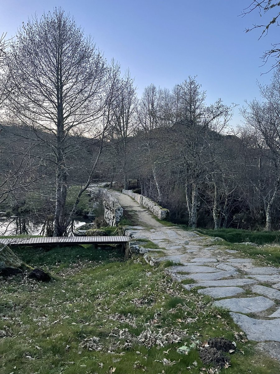 Panchorra bridge 🇵🇹 rotadoromanico.com/pt/monumentos/…