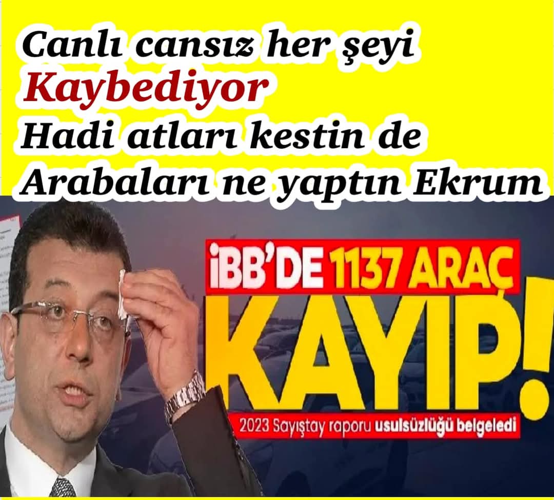 Ali Özlük (@alizlk12) on Twitter photo 