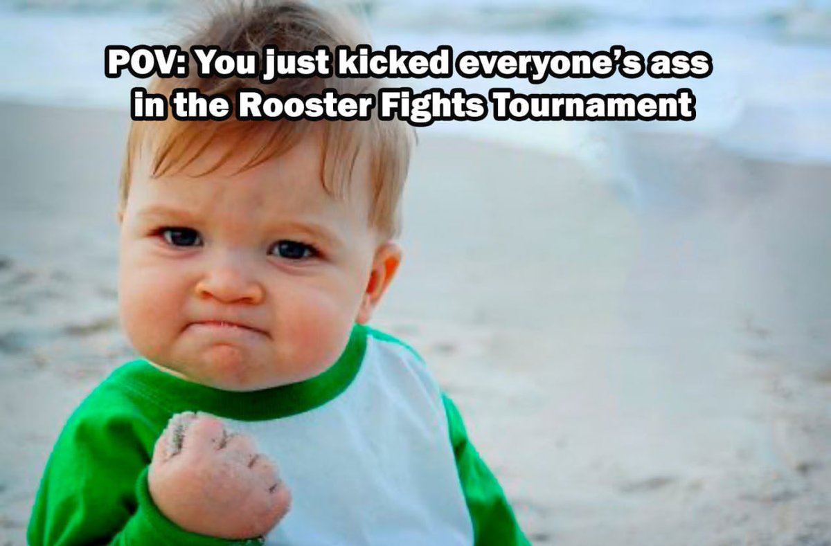 🐓 The first tournament is over — the next one is coming! 🔥

Thank you to everyone who participated in the first Rooster Fights tournament on December 14th! It was intense, thrilling, and absolutely amazing. This Monday, we’ll honor our champions and celebrate the winners! 

But