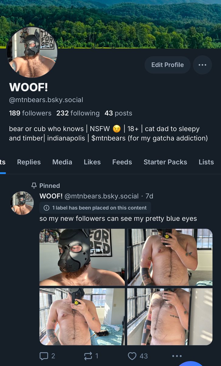wooofs.bsky.social tweet media