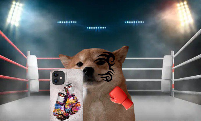 x01991's tweet photo. @LevisNFT $selfie doggo is always locked in https://t.co/n4lYAGtnJZ