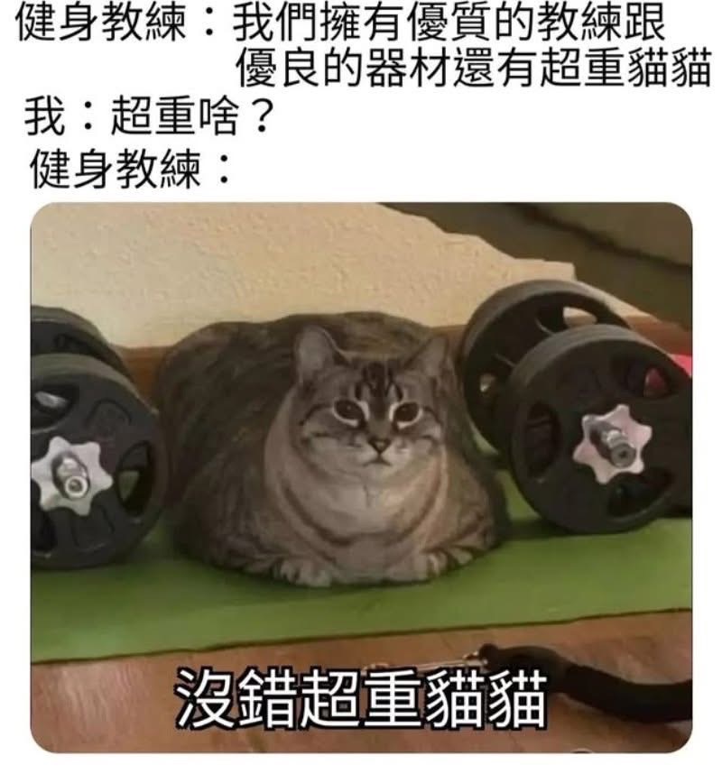 tw111111111111's tweet photo. https://t.co/7hhOkJdNp2