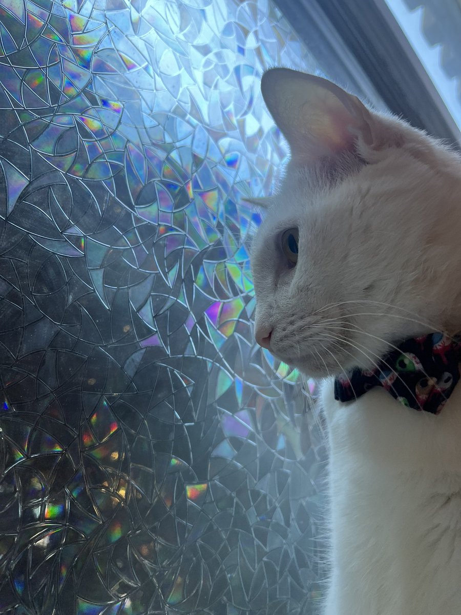 Paul Blart tweet media