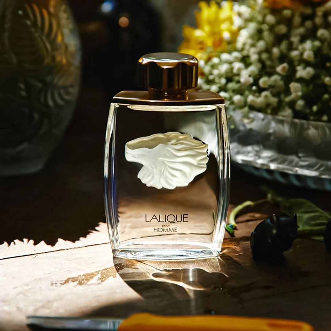 FragranceBD's tweet photo. Exceptional quality at a fraction of the price compared to Creed Bois du Portugal. #Lalique #sotd #perfume #perfumes #parfum #fragrances #fragrance #smellgood #fragrancelover #perfumeaddict #fragranceaddict #perfumelovers #dhaka #bangladesh #fragrancebangladesh #fragrancebd https://t.co/n8D7jy9doV