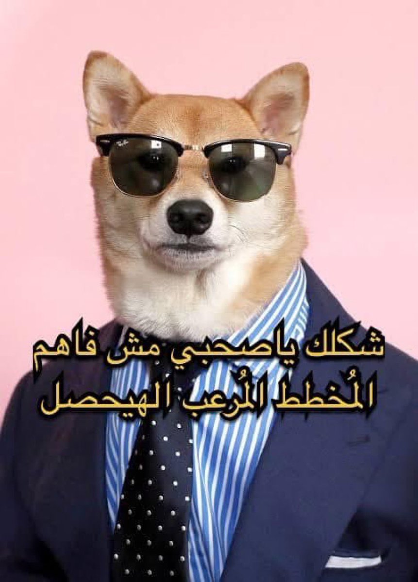 - المسلمين حرروا فلسطين واستردوا الأندلس 

_ المصري اللي افتاره السيسي: