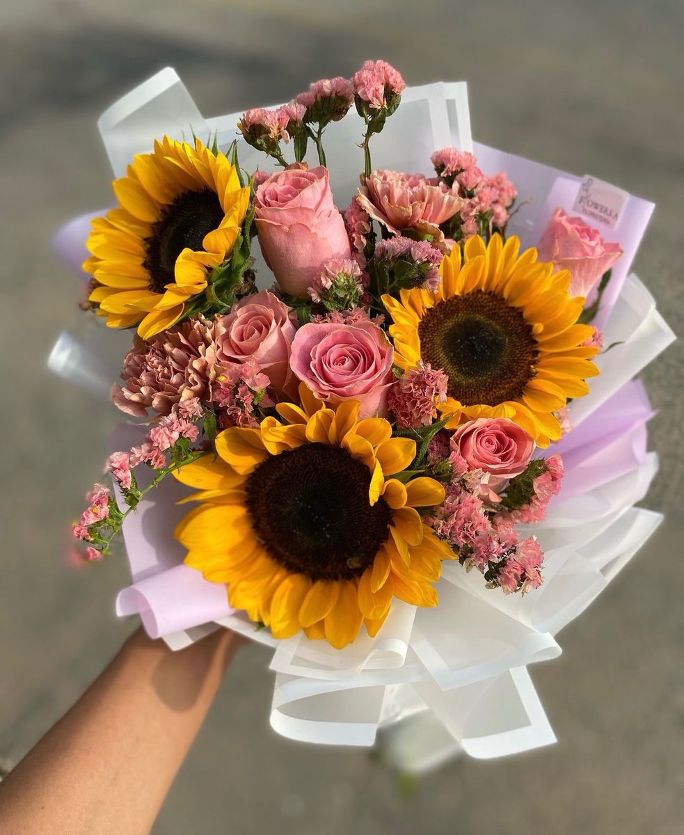sunflowerchives's tweet photo. Beautiful✨ https://t.co/ryYndILRYI