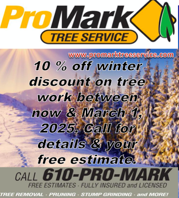 ProMark_Inc's tweet photo. Get your winter tree work discount. Call the Pros @ ProMark. 610.754.7400 https://t.co/ESSeNcNVVt
