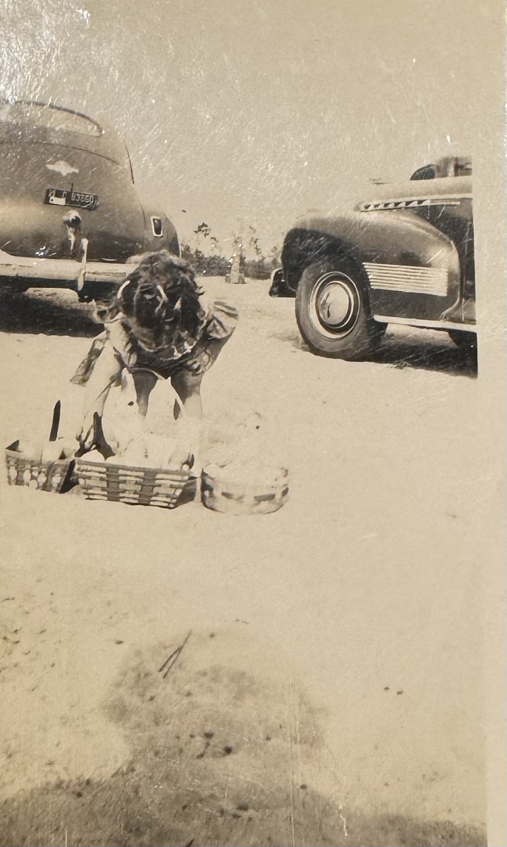 Susodo's tweet image. #DavesCarIDService  These may be the same cars as a previous pic. My mom playing in front of the cars.