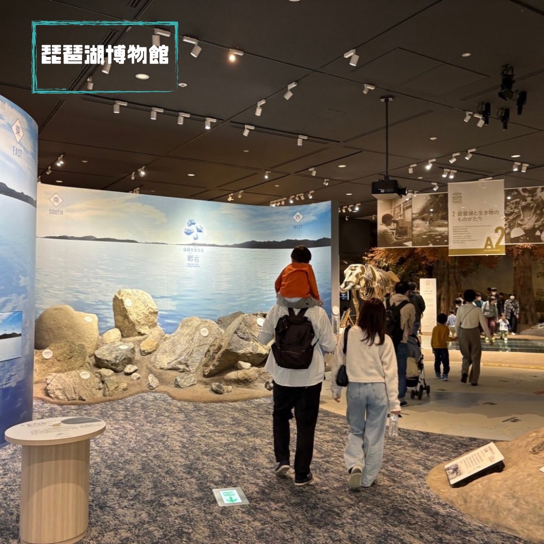 protect_23's tweet photo. 2024年11月10日
琵琶湖南部

琵琶湖博物館及び湖岸で発生している水草について学びました🌿

大量に増加している水草はヘドロ化し、異臭問題を引き起こすようです
そして、水草を食べてくれるコハクチョウは現在採餌地周辺のヨシの人工化により減少しているようです🦢

#水草 #コハクチョウ #琵琶湖 https://t.co/8B2juL0o6i