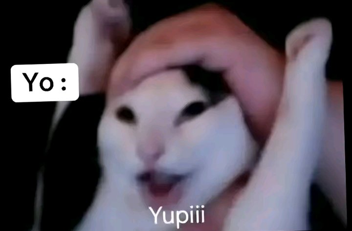 Fifu Rodriguez tweet media