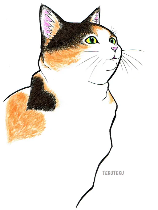 #猫好き  