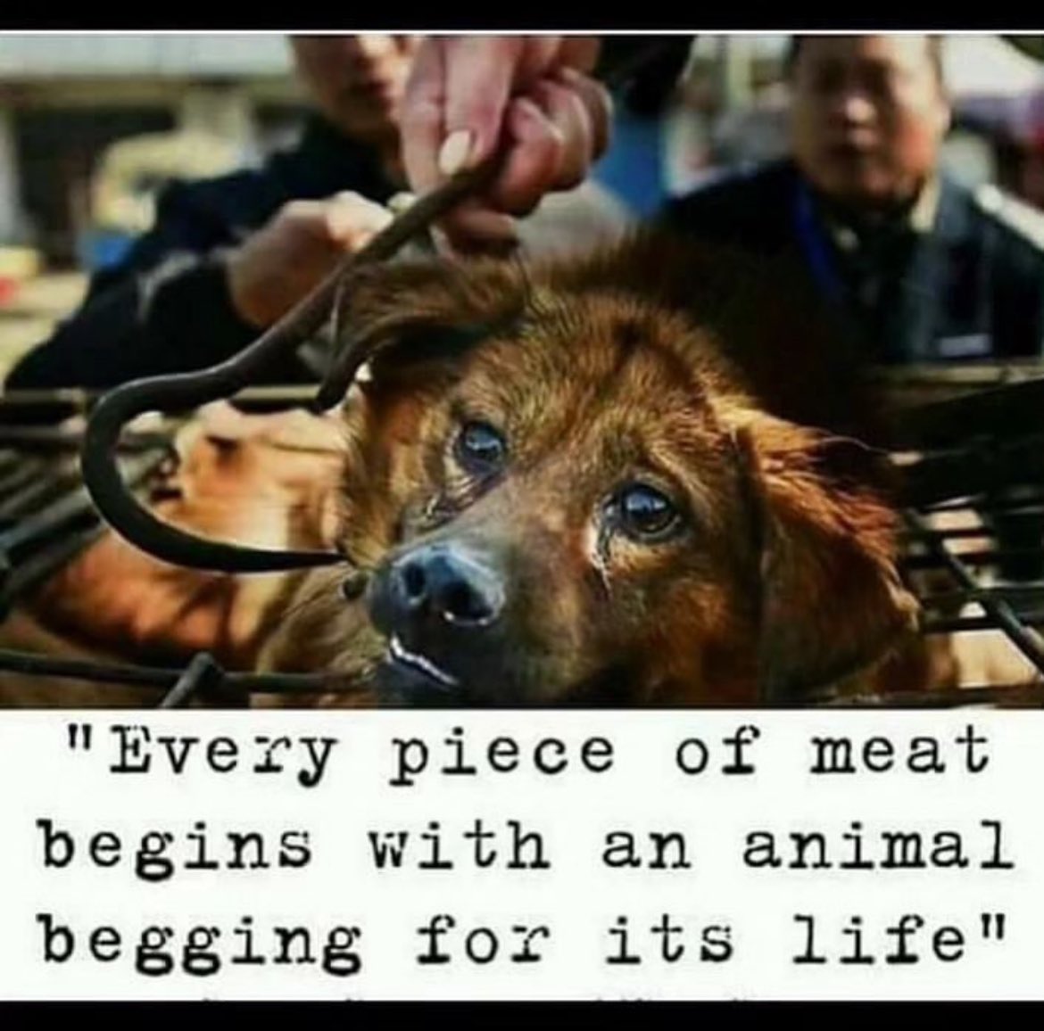 NothingIsArt (@nothingisart) on Twitter photo 