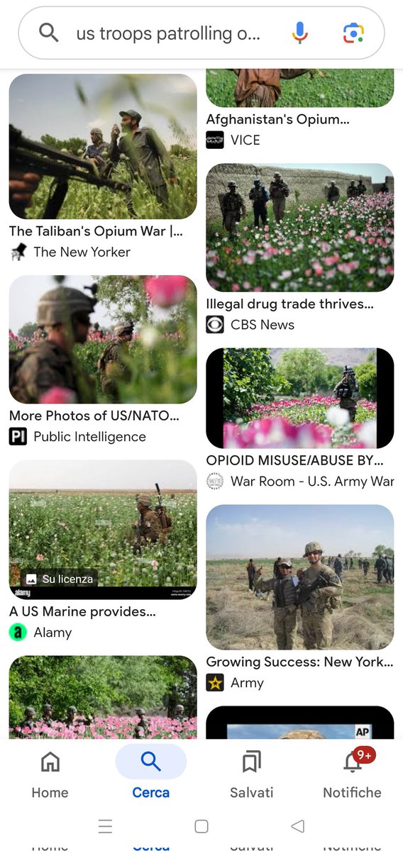 SabinaCusin's tweet photo. "L'#oppio รจ stato il motivo dell'intervento internazionale in #Afganistan, ed era il motore della guerra", #inmezzora.
Sรฌ, certo!
Nelle foto i "talebani" che pattugliano ARMATI i campi di papavero. https://t.co/CCq6im49Ag
