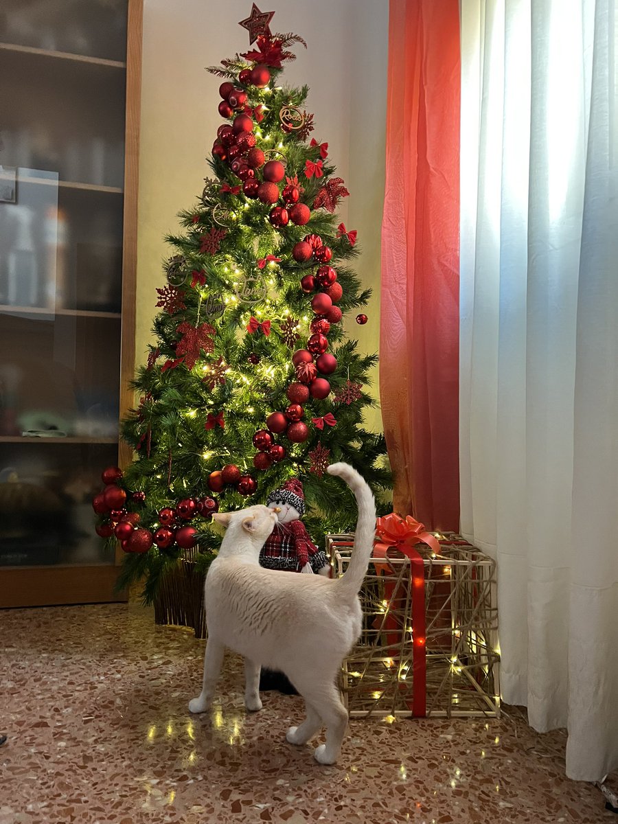 Urzag's tweet photo. @twaniimals https://t.co/JgjEgik50q