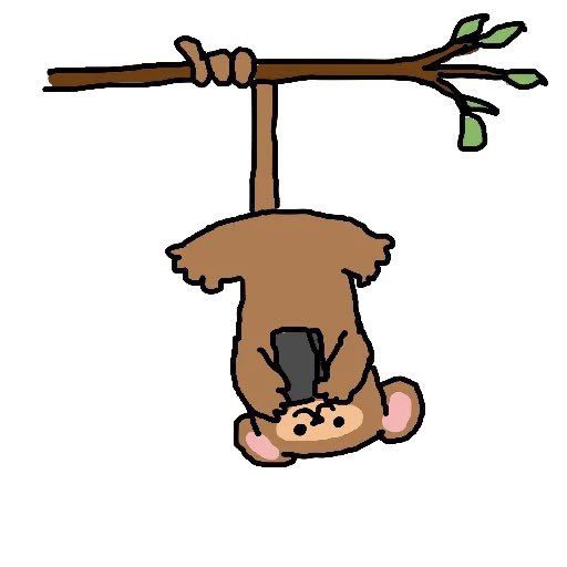 bunk 🐒💥 tweet media