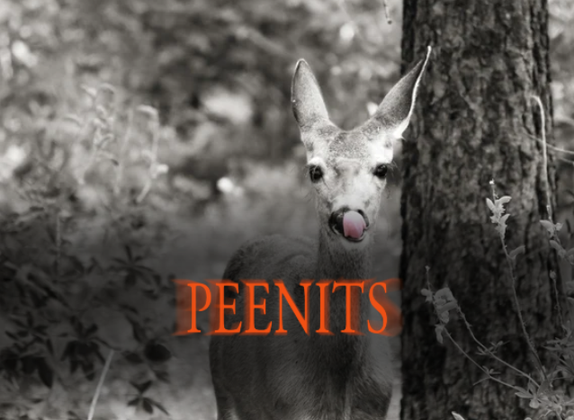 mfing deer girl 2sday tweet media