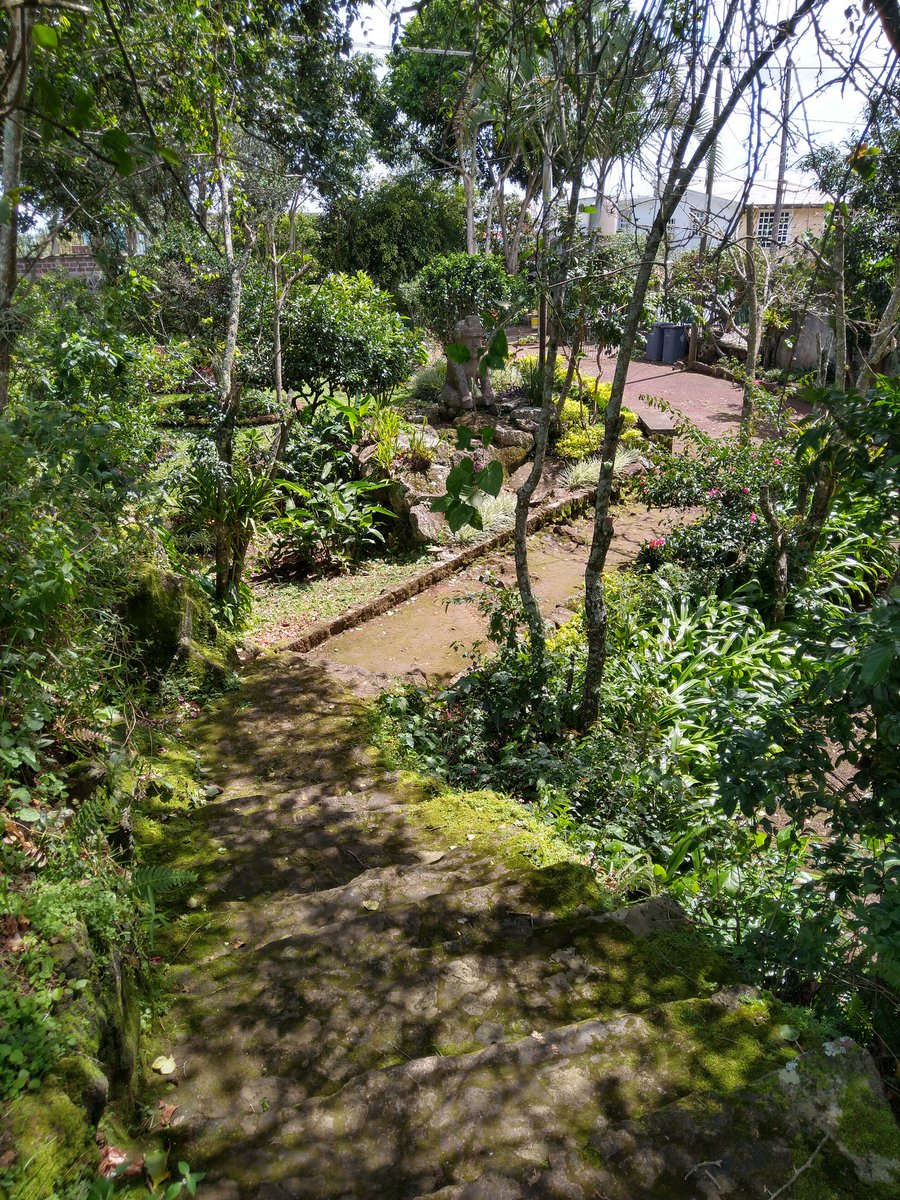MIELBETA's tweet photo. Xalapa la cueva de la Orquídea Av Miguel Alemán https://t.co/gT3BPPhIXg