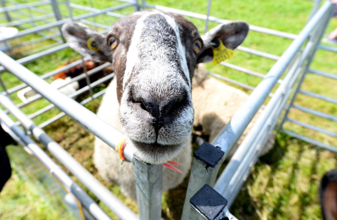 Agri Aware tweet media