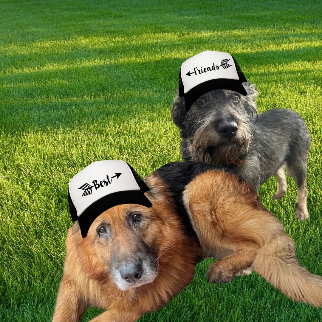 <a href="/blknoiz06/">Ansem</a> $TWO chart is ready to fly
people will love these dogs 
pump.fun/coin/8aC4NAMAP…
<a href="/blknoiz06/">Ansem</a>