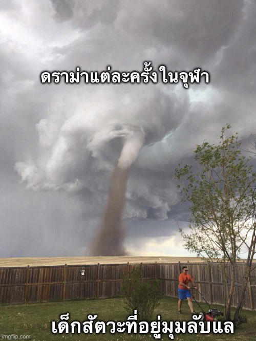 พรี่หมี. ‘สตอ‘เบอรี่.ฯ🇹🇭💛 tweet media