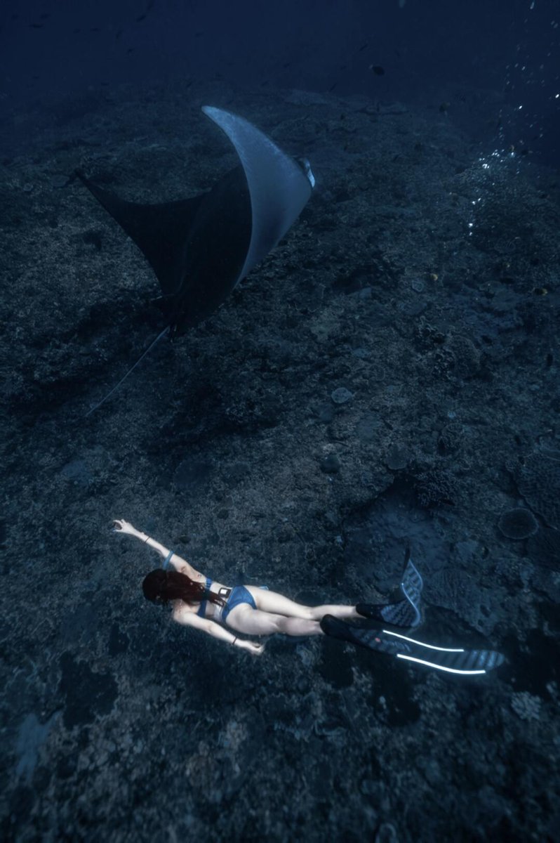 kersley36's tweet photo. Immerse yourself in the deep blue world and dance with nature. 🌊🧜♀️✨ #TheBeautyoftheOcean #DivingTime #diving https://t.co/ZP7V1WBcX7